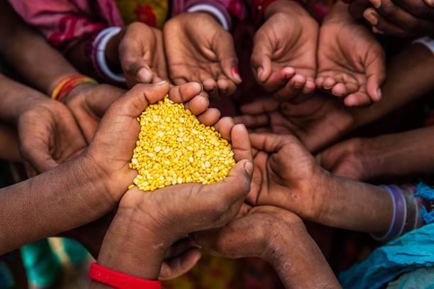 istock Hunger in Africa - hands asking for food 1126896513