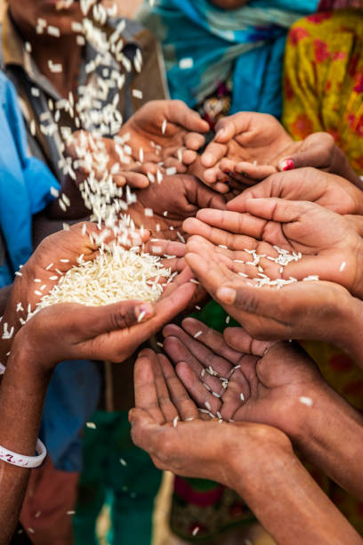 istock Hunger in Africa - hands asking for food 1126896558
