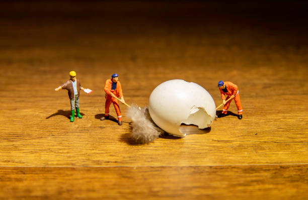 Two worker and Foreman try to move broken egg stock photo