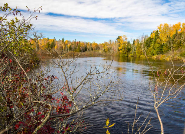 istock Wilderness Pond Framed By Fall Foliage In Michigan 1126901737