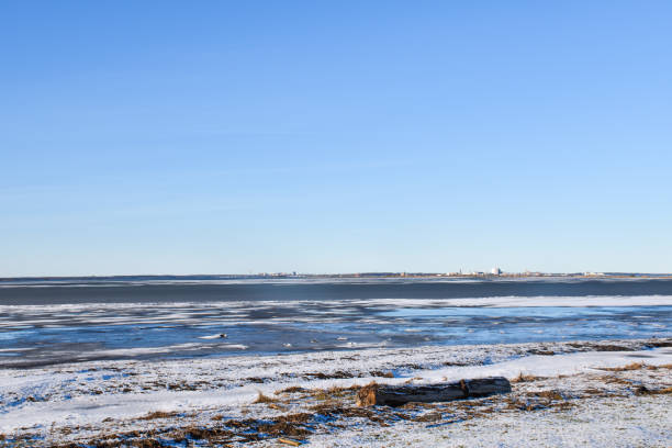 istock Winter view with driftwood by the coast 1126908091
