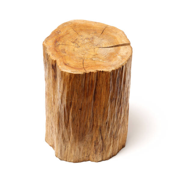 istock Natural Furniture  isolated on white background 1126908446