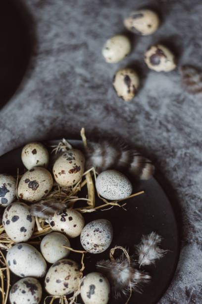 istock Quail eggs in a black plate. On a gray background. Top view. Copy space 1126909753