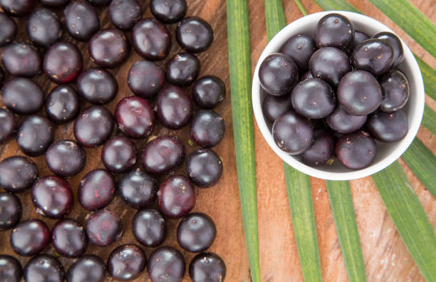 istock Fresh acai berries - Euterpe oleracea 1126909782