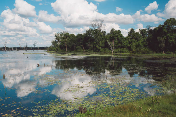 istock Scenic View Of Lake Against Cloudy Sky 1126912759