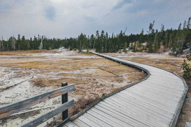 Norris Geyser Basin Boardwalk, Yellowstone National Park Norris Geyser Basin Boardwalk, Yellowstone National Park norris geyser basin photos stock pictures, royalty-free photos & images