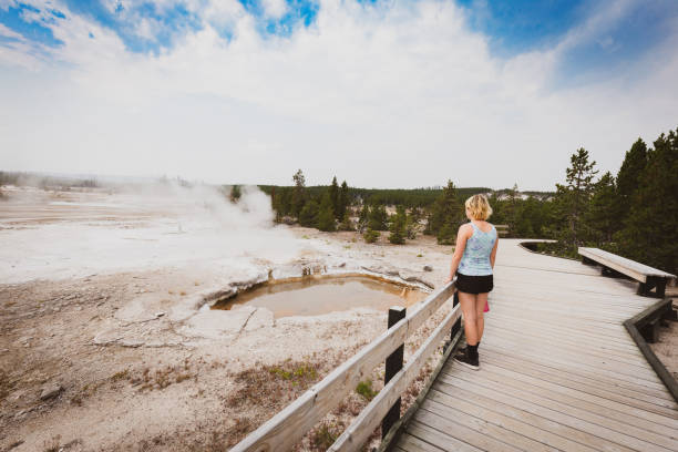 Tourist Watching Geyser Hot Spring, Norris Geyser Basin, Yellowstone National Park Tourist Watching Geyser Hot Spring, Norris Geyser Basin, Yellowstone National Park norris geyser basin photos stock pictures, royalty-free photos & images