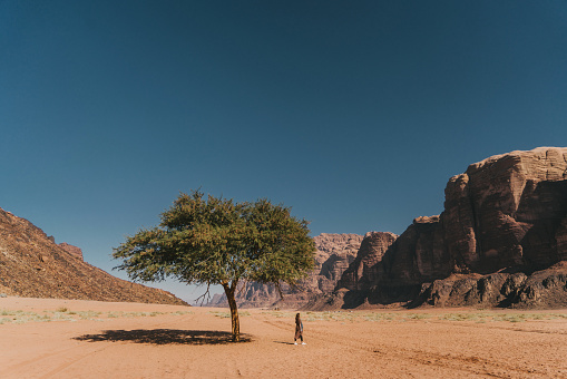 Young Caucasian woman in dress standing near the tree in Wadi Rum desert, Jordan