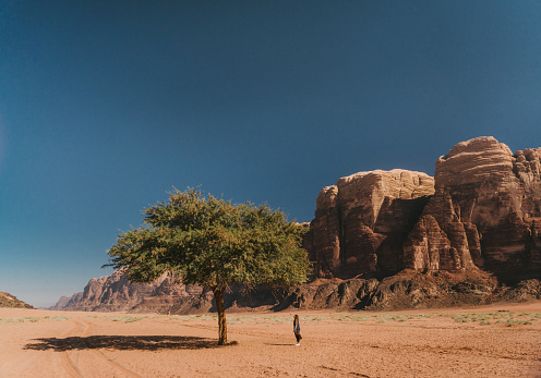 Young Caucasian woman in dress standing near the tree in Wadi Rum desert, Jordan