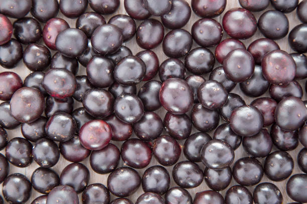 istock Fresh acai berries - Euterpe oleracea 1126923470
