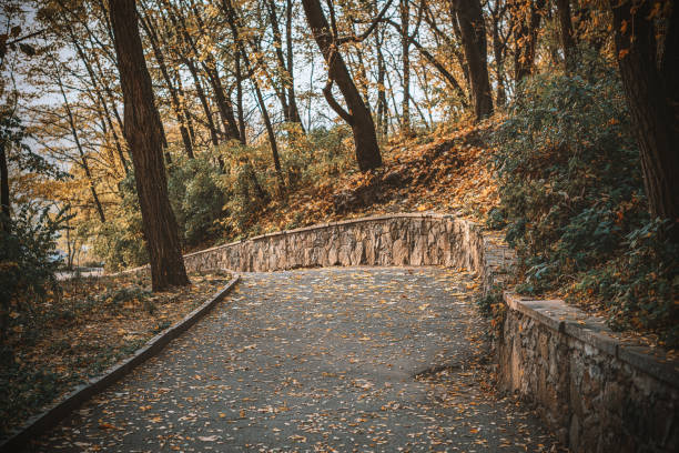 istock road in the autumn park 1126924382