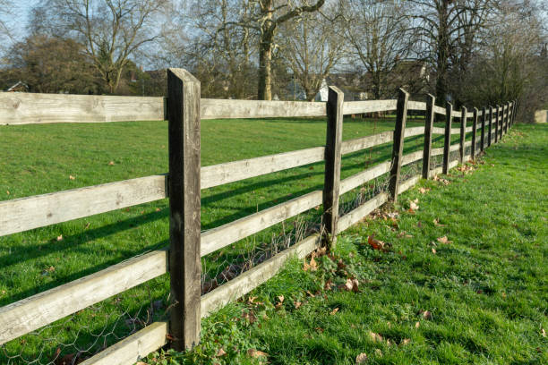 istock Wooden fence in Parkland 1126924714