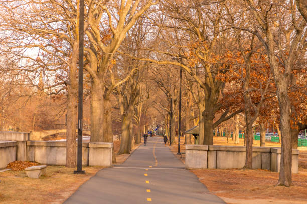 istock Charles River Esplanade at sunset, Boston, Massachusetts 1126925796