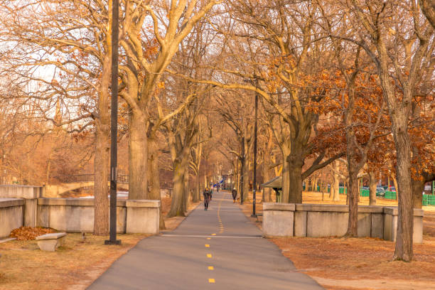 istock Charles River Esplanade at sunset, Boston, Massachusetts 1126925920
