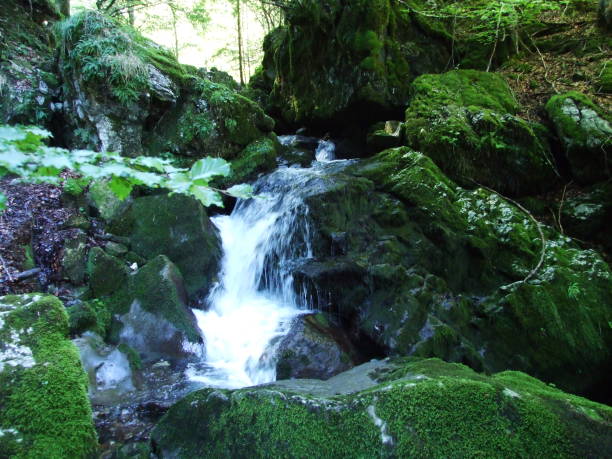 istock Waterfalls and Cascades on the Schwendebach Stream 1126928254