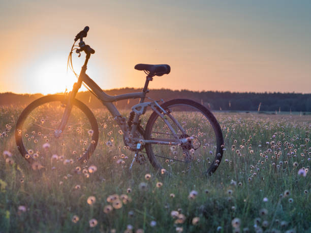 istock podlasie, Podlachia, Podlasko, Podlasze 1126929500