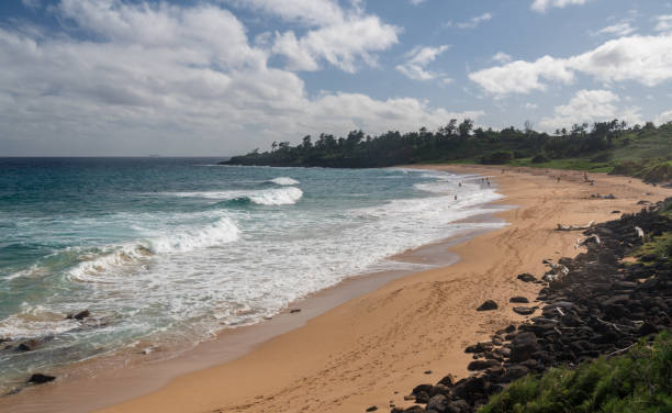 istock Panorama of Donkey Beach in Kauai 1126933867