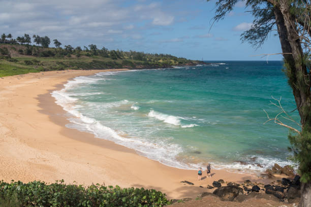 istock Panorama of Donkey Beach in Kauai 1126934306