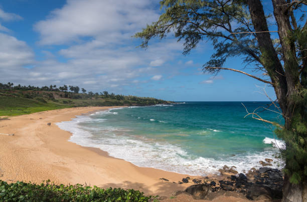 istock Panorama of Donkey Beach in Kauai 1126934359
