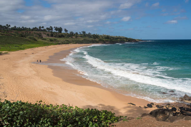 istock Panorama of Donkey Beach in Kauai 1126934424