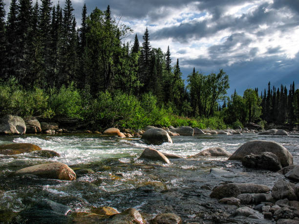 istock Twilight over fast mountain river among dense forests and huge stones 1126936422