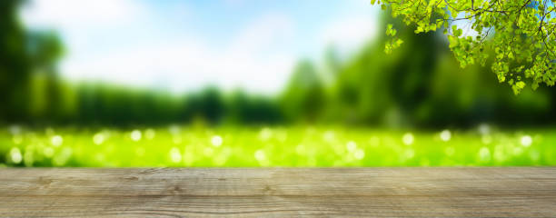 wooden table in idyllic landscape