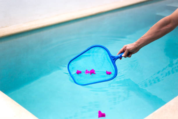 istock Cleaning the Pool: Arm with Net Reaching for Bougainvillia Flowers 1126941412