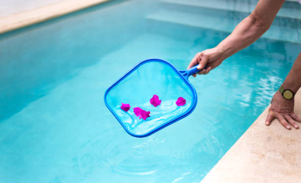 istock Cleaning the Pool: Arm with Net Reaching for Bougainvillia Petals 1126941450