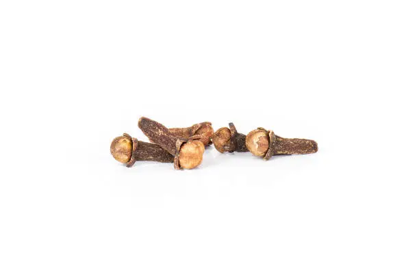 Group of five whole small dried cloves spice isolated on white background
