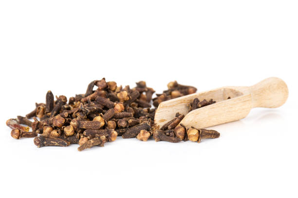 istock Small dried cloves spice isolated on white 1126947266