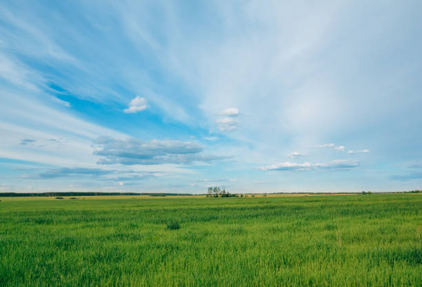istock Landscape of countryside with sky and clouds 1126951434