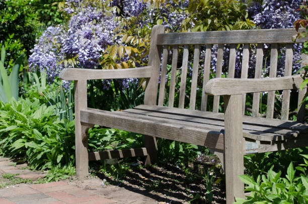 istock An unoccupied bench sites in a garden in the spring 1126951447