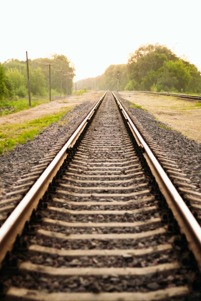 istock Landscape of railway tracks between the trees 1126951459