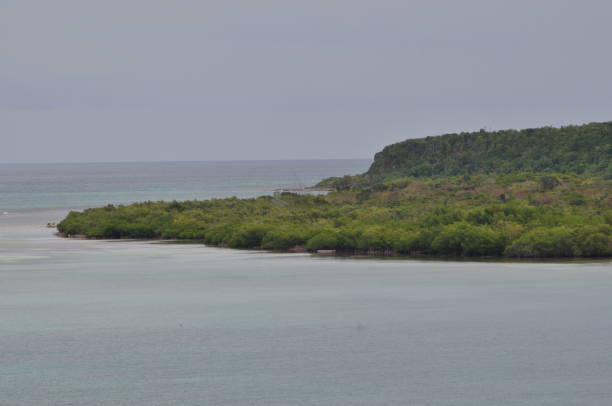 istock Jamaican Island Bay 1126955945