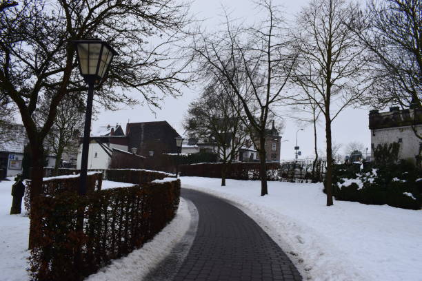 parque de la ciudad en la nieve - tree park avenue footpath fotografías e imágenes de stock