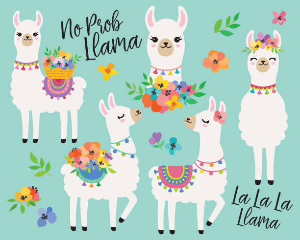 illustrations, cliparts, dessins animés et icônes de lamas mignons avec fleurs printanières vector illustration. - lama