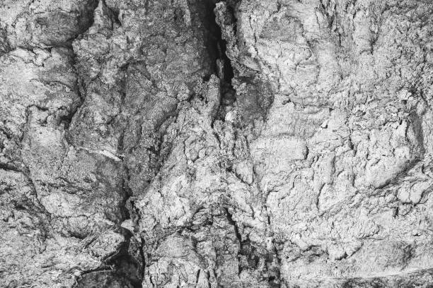 istock Chapped desert ground texture. White grey sand with stone background. 1126959307