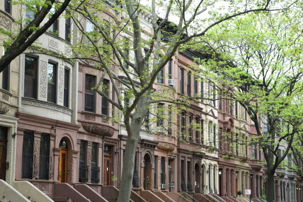 Harlem street view, New York City, USA Harlem street view in the spring 2017, New York City, USA harlem park stock pictures, royalty-free photos & images