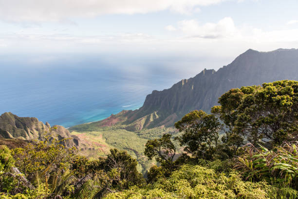 istock Waimea Valley in Kauai Hawaii 1126960944