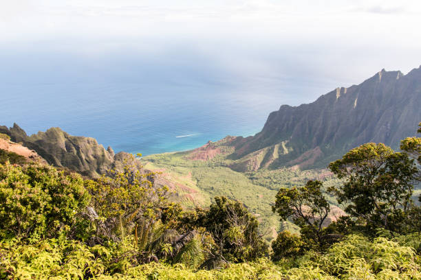 istock Waimea Valley in Kauai Hawaii 1126960948