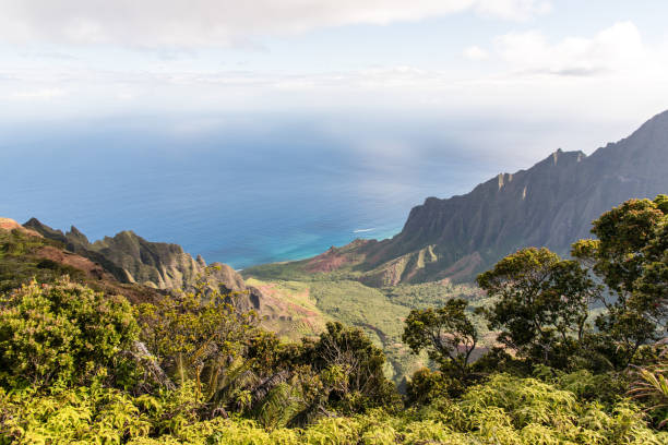 istock Waimea Valley in Kauai Hawaii 1126960951