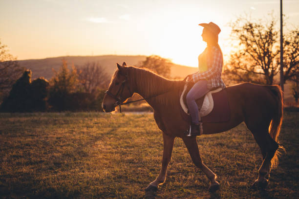 istock Horse ride at sunset 1126960994