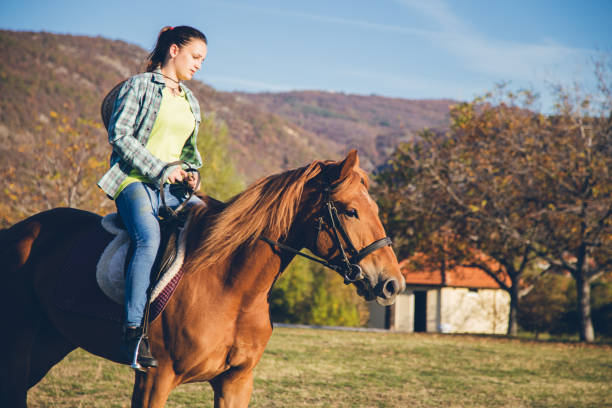 istock Horse ride at sunset 1126961034