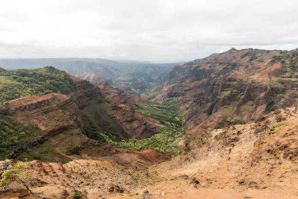 istock Waimea Valley in Kauai Hawaii 1126961063
