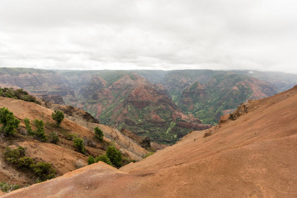 istock Waimea Valley in Kauai Hawaii 1126961093