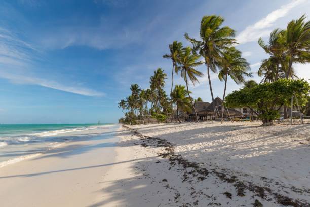 istock Zanzibar, landscape sea, white sand 1126969061