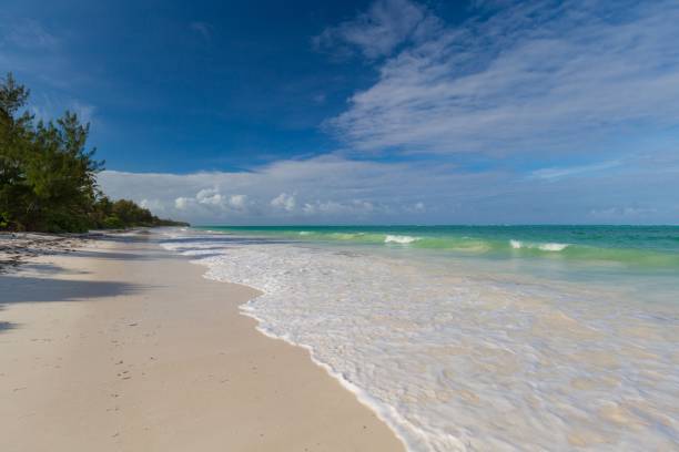 istock Zanzibar, landscape sea, white sand 1126969133