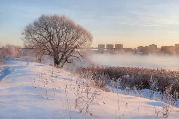 Winter landscape in the early morning overlooking the city of Dubna and the bridge over the Volga. Frosty fog obscures the banks of the river. The tops of the trees are covered with hoarfrost.