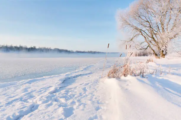 Winter landscape in the early morning overlooking the banks of the Volga River. Frosty fog obscures the banks of the river. The tops of the trees are covered with hoarfrost.