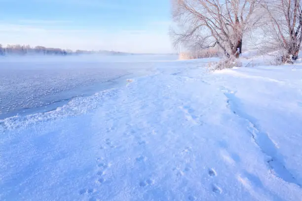 Winter landscape in the early morning overlooking the banks of the Volga River. Frosty fog obscures the banks of the river. The tops of the trees are covered with hoarfrost.